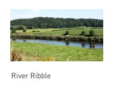 Reserve Map | Brockholes Nature Reserve