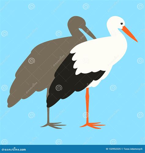 Stork Vector Illustration Profile View Stock Vector Illustration Of