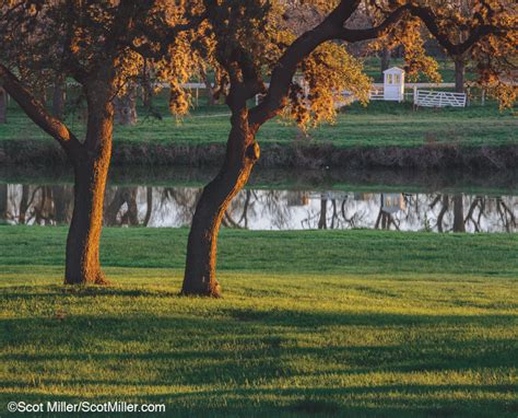 LBJ Ranch Scot Miller