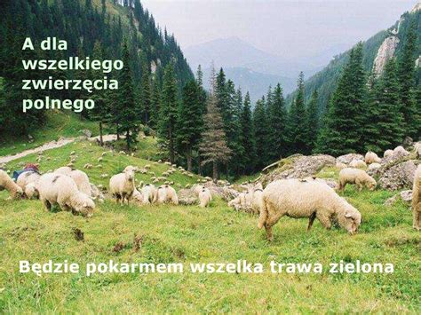 Hymn O Stworzeniu Wiata Ksi Ga Rodzaju