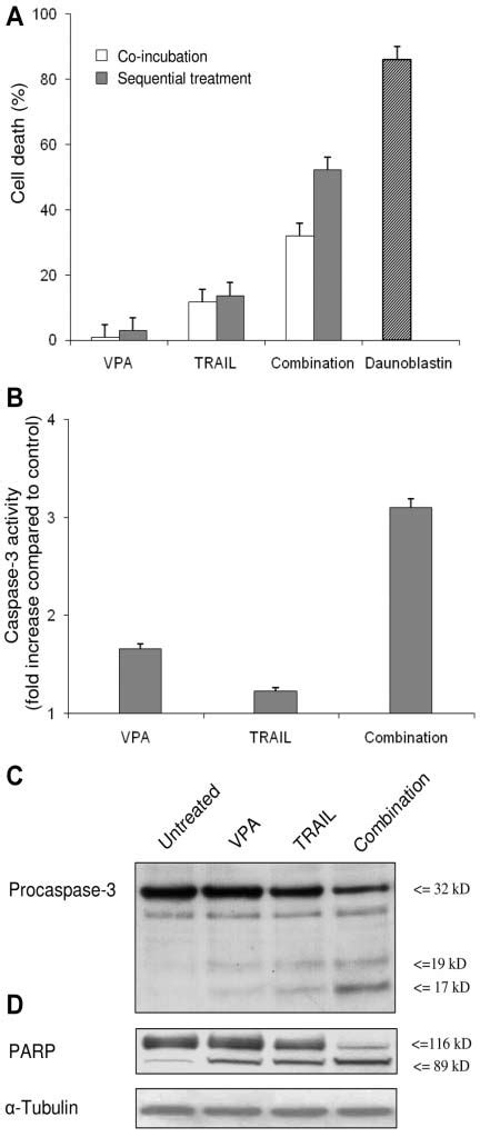 A Effects Of Vpa And Trail Alone And In Combination On K Cell