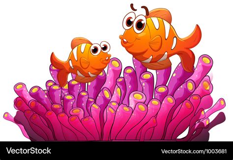 Sea Anemone Cartoon