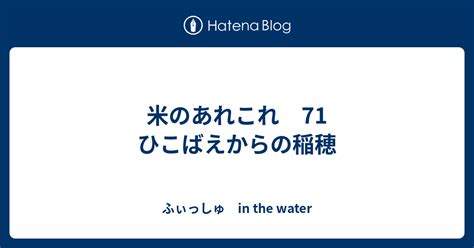 米のあれこれ 71 ひこばえからの稲穂 ふぃっしゅ In The Water