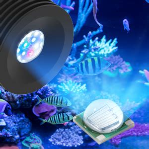 Lominie Aquarium LED Beleuchtung 12000K Lichter für Meeresaquarium