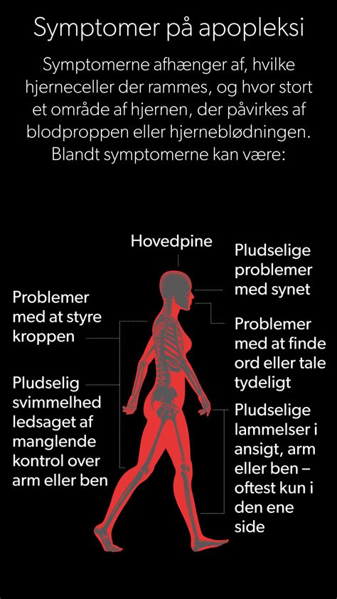 Da Sørens hjerne visnede