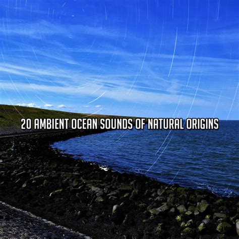 20 Ambient Ocean Sounds Of Natural Origins Album By Winds And Oceans