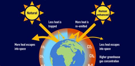 Greenhouse Effect Definition, Diagram, Causes, Facts, 59% OFF