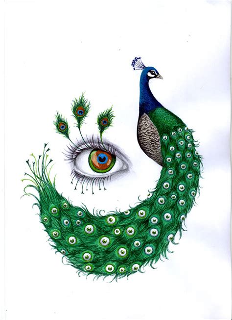 Peacock By Lachauvesourisdoree On Deviantart