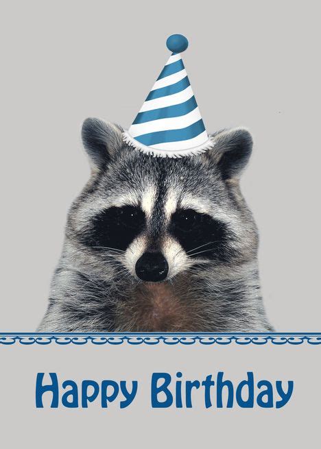 Happy Birthday Raccoon Printable Card Funny Raccoon Birthday Card