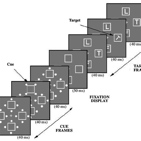 Stimulus Displays And Sequence Of Events For The Motionmotion