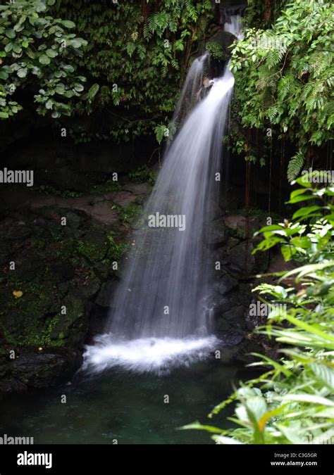 The Lovely Emerald Pool A Popular Tourist Hike In The Rainforest Of