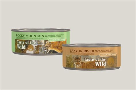 Taste Of The Wild Cat Food Review 2024