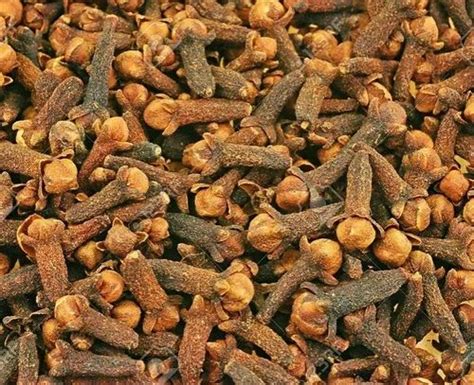 Clove Bud Oil At Rs Litre Essential Oils In Indore Id