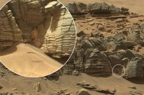 Mystery Surrounds Bizarre Mars Space Crab Spotted In Nasa Photo Of The Red Planet Mirror Online