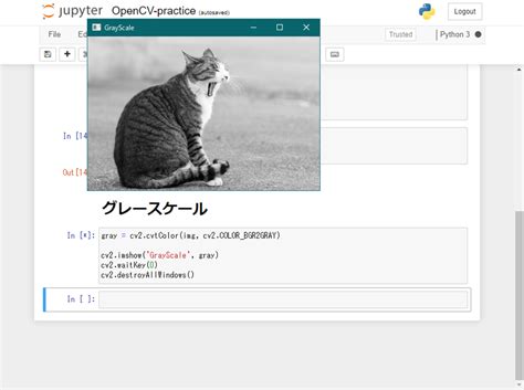 【pythonで画像処理をはじめよう】opencvの使い方を解説｜udemy メディア