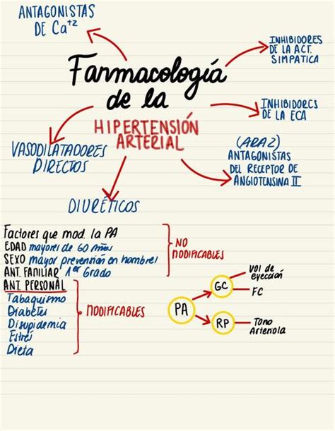 Farmacología De La Hipertensión Arterial Littlenurse uDocz