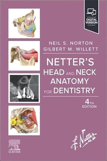 Netter S Head And Neck Anatomy For Dentistry Netter Basic Science