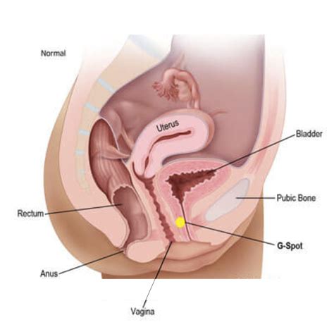 Finding The G Spot BlackDoctor