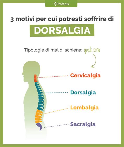 Dorsalgia Mal Di Schiena Dorsale Sintomi Cause E Rimedi