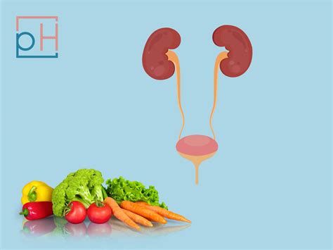 Interstitial Cystitis Diet What To Eat And What To Avoid Primehealth