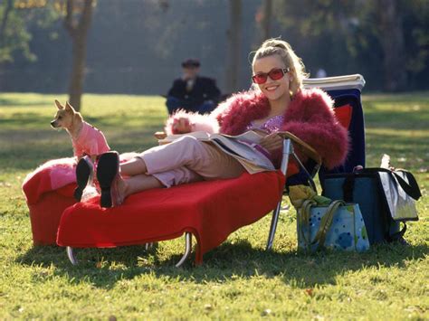 Legally Blonde Legally Blonde Photo Fanpop