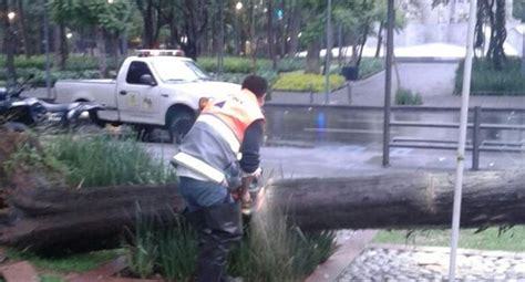 Lluvias Dejan Encharcamientos Y Rboles Ca Dos En Cdmx El Universal