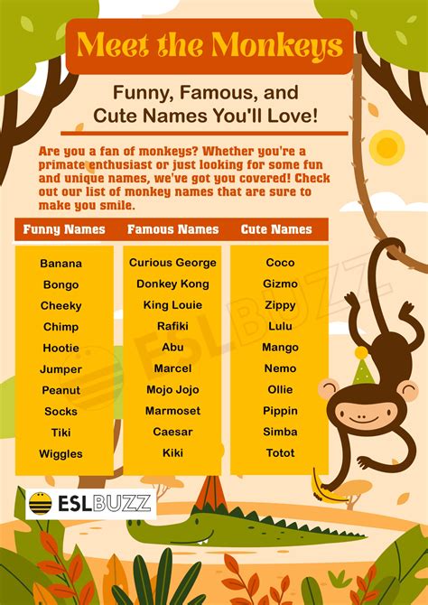 Monkey Names Fun And Creative Ideas For Naming Your Primate Pal ESLBUZZ