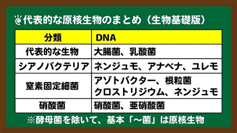 「生物基礎教科書解説」原核細胞と真核生物の細胞の構造｜高校生物の学び舎