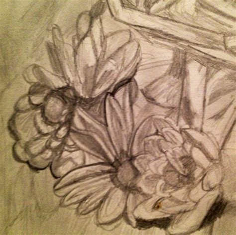 Pencil Sketch By Abbie Wolff Sketches Pencil Sketch Painting