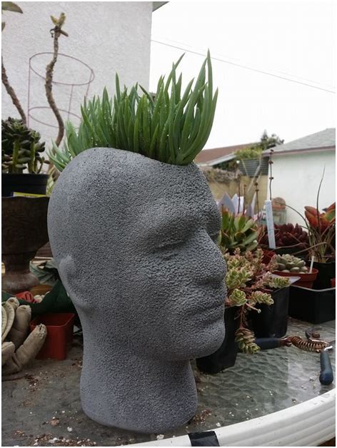 Styrofoam Head Into Planter Thuem Garden Plant