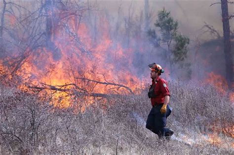 B C Wildfire Situation Still Deteriorating Official Says Infonews Thompson Okanagan S