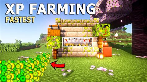 Minecraft Easy Chicken Xp Farm In 121 Survival Tutorial Youtube