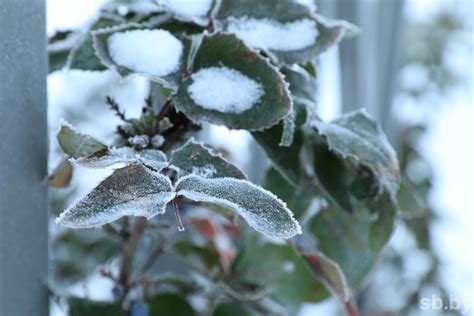 Погода 30 декабря: дождь, мокрый снег и днем до +9 °С