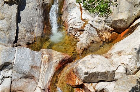 Fotos gratis árbol naturaleza rock cascada planta madera hoja