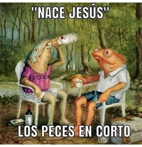 Pero Mira Como Beben Los Peces En El Rio Meme Subido Por Alfauz