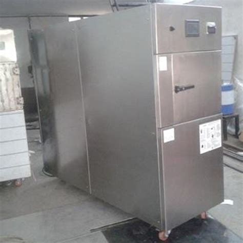 Stainless Steel Ethylene Oxide Gas Sterilizer At Rs Eto