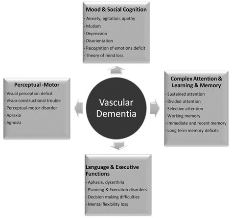 The Major Effects Of Vascular Neurocognitive Disorder On Cognitive