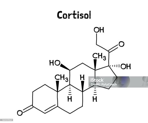 Vetores De Fórmula Estrutural Do Cortisol Da Estrutura Molecular E Mais