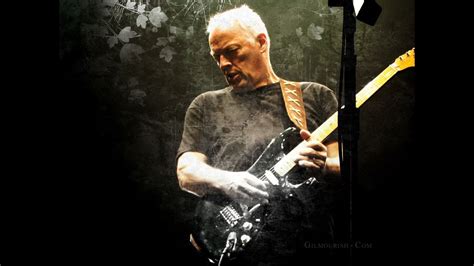 David Gilmour Guitar Solo – Telegraph