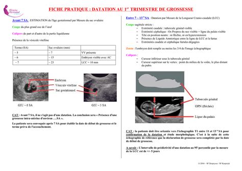 Fiche Pratique Datation Au 1er Trimestre De Grossesse