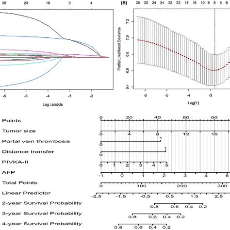 Nomogram For Predicting Prognosis In Patients With Primary Liver Cancer