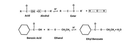 Ester Definition Structure Esterification Along With Properties And Uses