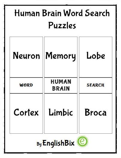 Human Brain Word Search Printable Englishbix