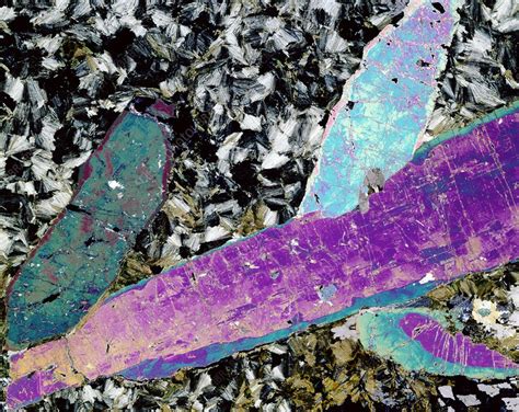 Tourmaline Crystal Light Micrograph Stock Image E