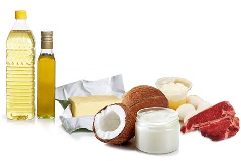 Saturated Fats In Coconut Oil For Dogs