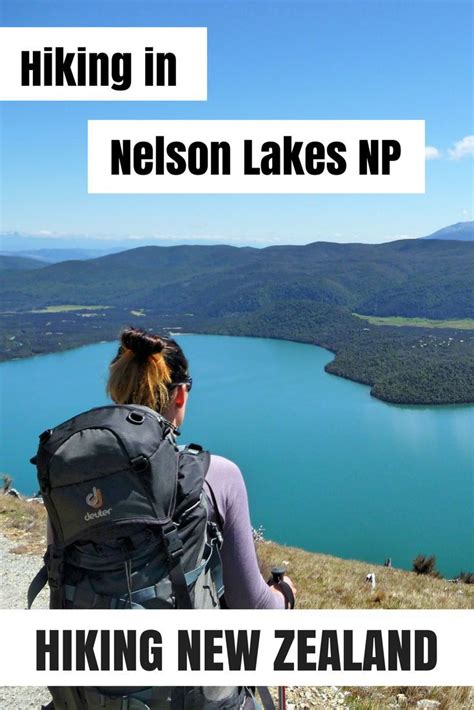 Hiking To The Bushline Hut In New Zealand The Best Hikes In Nelson