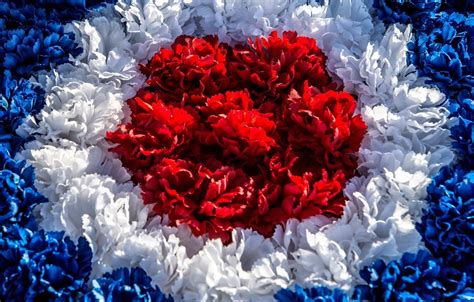 Red White And Blue Flower Wallpapers Top Free Red White And Blue