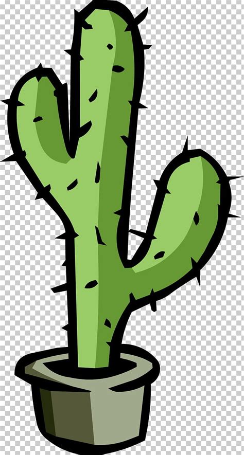 Cactaceae PNG Clipart Cactaceae Cactus Caryophyllales Clipart