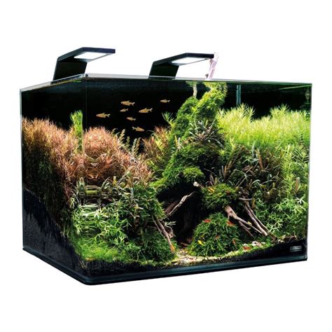 Acvariu Dennerle Nano Scapers Tank 70 l - Nevertebrate