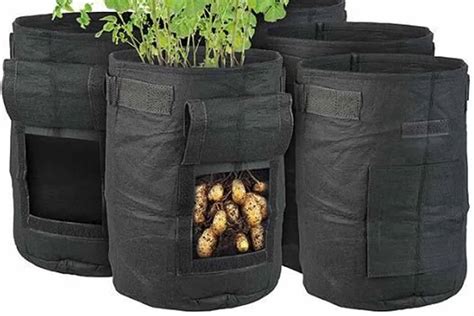 Le Sac De Plantation Une Solution R Volutionnaire Pour Une